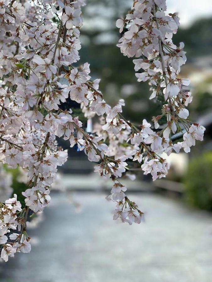 あまね庵 Villa Amane 桜井市 エクステリア 写真